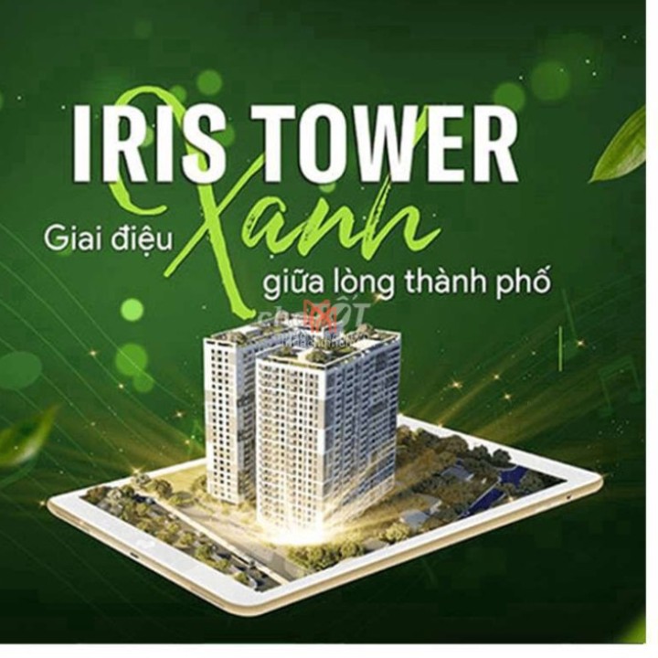chung cư bán căn hộ Iris Tower