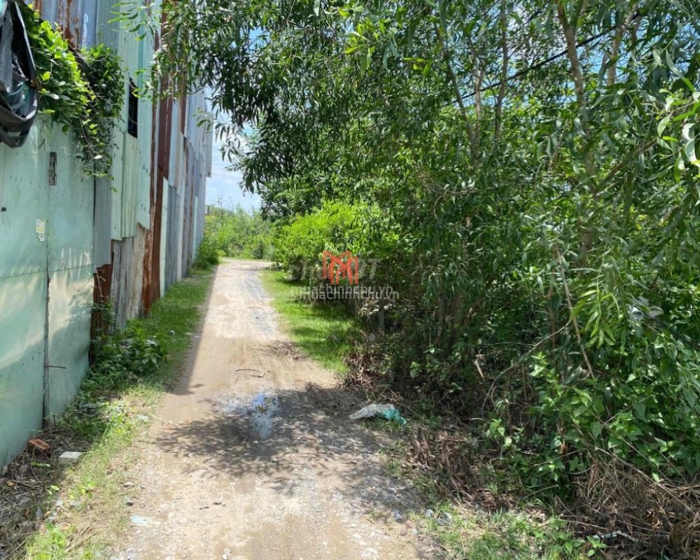 bán Đất Thành phố TPHCM diện tích 53.2 m
