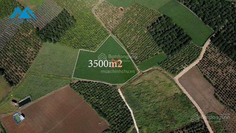 bán Đất X Tân Hội diện tích 3500 m
