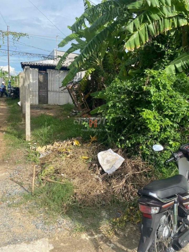 Đất bán T Trà Vinh giá thuê 530 triệu