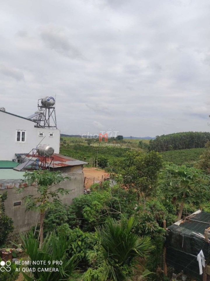 Đất bán Tỉnh Lâm Đồng