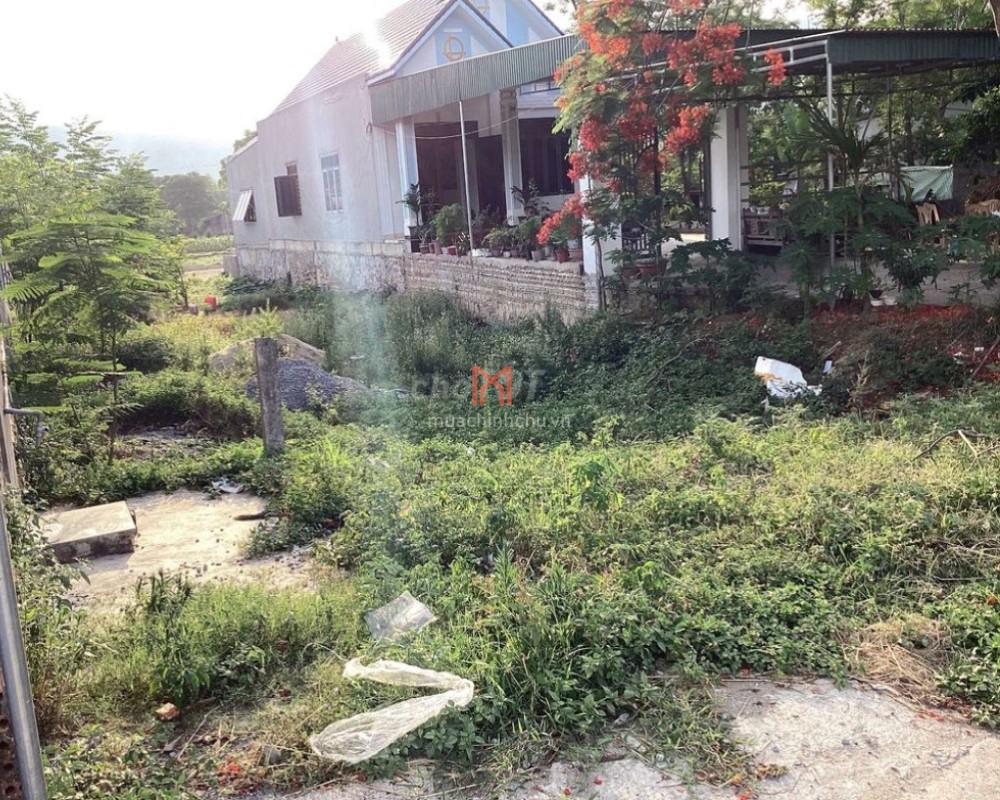 Đất bán TX Nghi Sơn