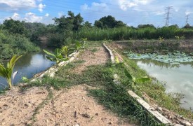 Bán đất vườn tại Hàm Trí, Bình Thuận diện tích 8.1 sào, view suối nước, giá 3 tỷ VND