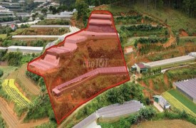 Bán đất chính chủ tại Đà Lạt 3000m² giá 12 tỷ đồng hợp làm homestay du lịch nghỉ dưỡng cắm trại