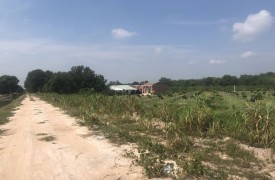 Bán đất rộng 6000m² đang trồng sầu riêng tại Tân Biên Tây Ninh giá rẻ 1.62 tỷ