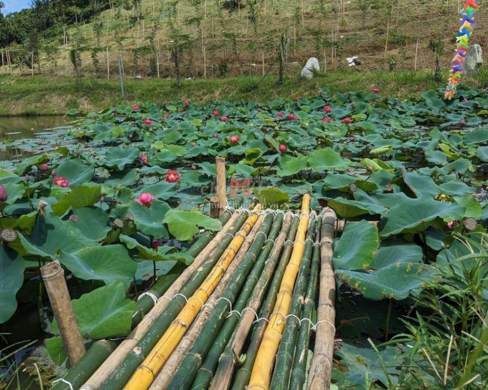 Nhà bán TP Bảo Lộc