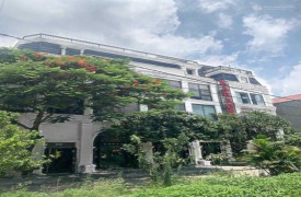 Chính chủ bán gấp căn biệt thự 5 tầng 177m² tại Đinh Tiên Hoàng Ninh Bình giá 13 tỷ