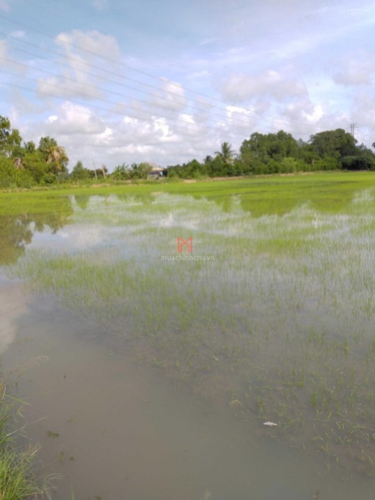 bán Đất Thành phố Cần Thơ