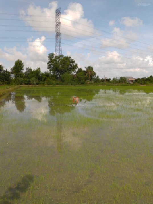 bán Đất Xã Thới Thạnh