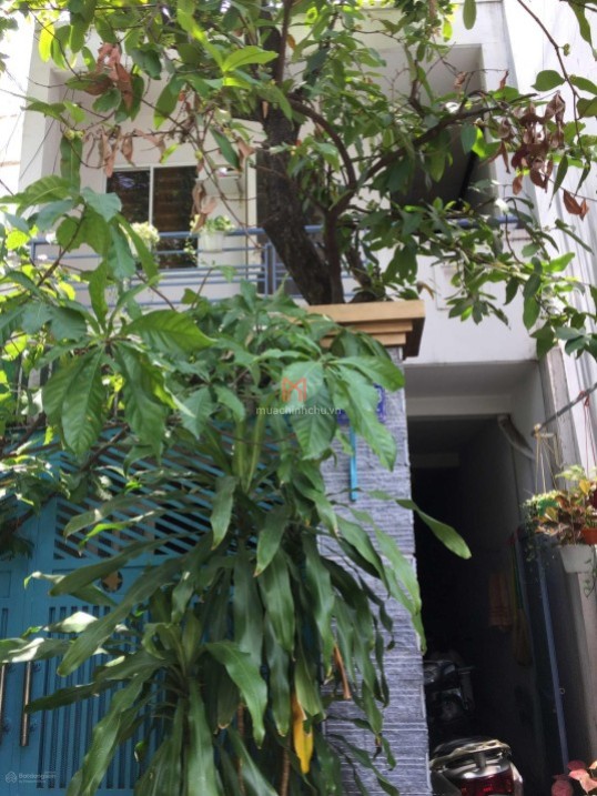 bán Nhà Thành phố TPHCM area 110 m²