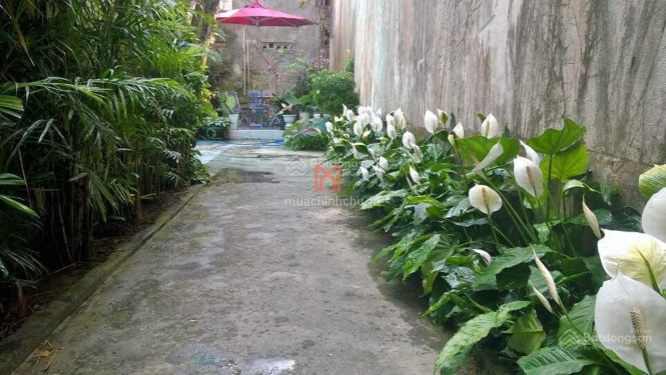 Nhà bán Quận Hải Châu giá 0