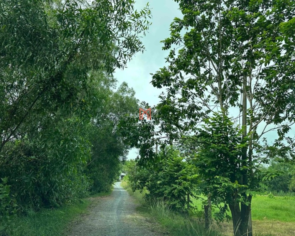 bán Đất Xã An Phú
