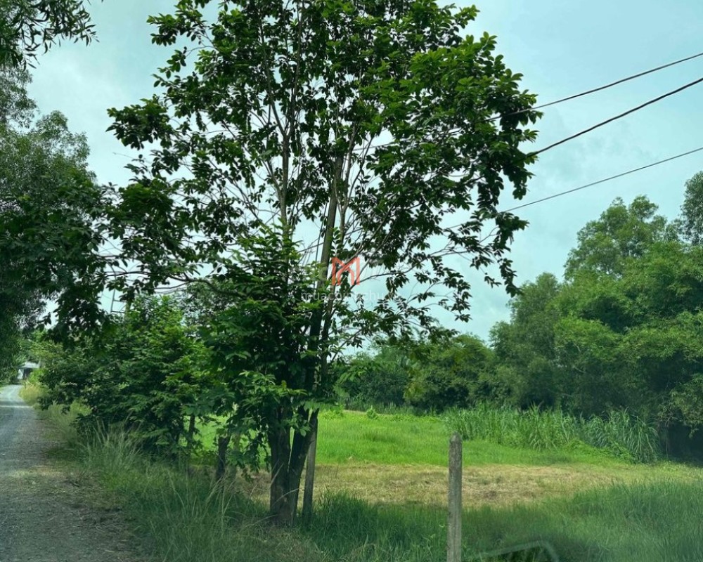 Đất bán Huyện Củ Chi