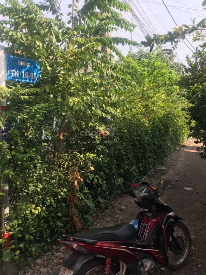 Đất bán Huyện Hóc Môn chiều sâu 15.3