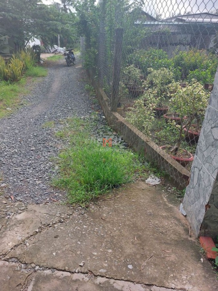Đất bán Xã Thanh Tân dt 1300 m