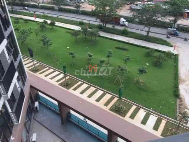 bán chung cư Phường Tân Thuận Tây