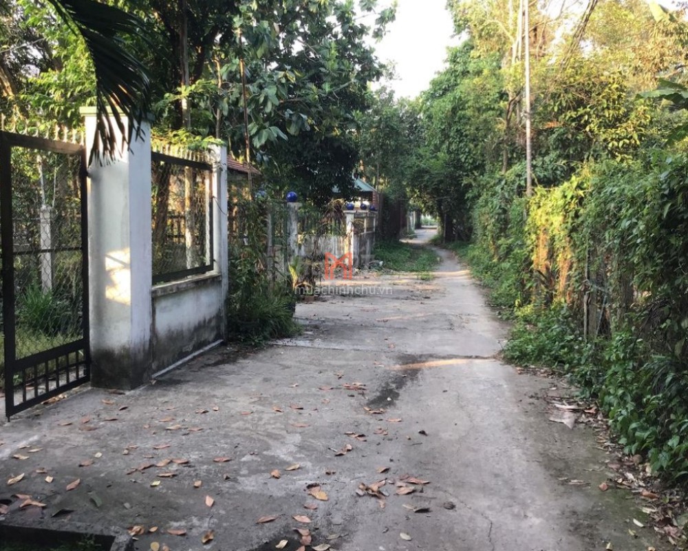 Nhà bán Phường An Thạnh