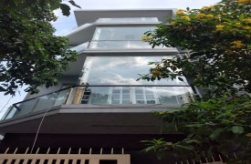 Bán nhà mặt tiền KDC Đồng Diều quận 8 chính chủ giá 16 tỷ đồng đường Võ Liên Sơn