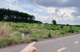 Bán đất tại Đạo Nghĩa Huyện Đắk R'Lấp Đắk Nông chính chủ 1000m2 giá 1.97 tỷ