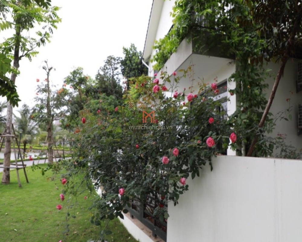 Nhà bán chung cư Vinhomes Thăng Long diện tích sàn m2