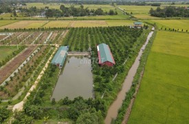 Bán gấp trang trại sinh thái tại Nông Cống Thanh Hóa diện tích lớn